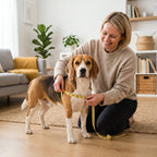 So misst du den Brustumfang deines Hundes direkt hinter den Vorderbeinen